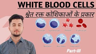 lecture 17What is White Blood CellTypesFunctionsMorphologyRelated diseasespartIII [upl. by Burkley]