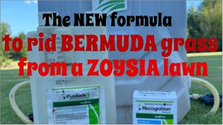 The new formula to remove Bermuda grass from a Zoysia lawn [upl. by Aihsital]