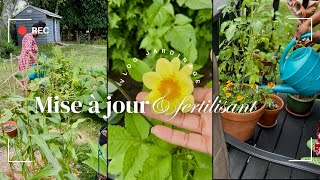 On parle fertilisant amp une mise à jour du jardin 🌱 [upl. by Sollie61]