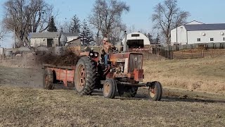 Farmall 656 Spreading Composted Hog Manure on Pasture [upl. by Netsua]