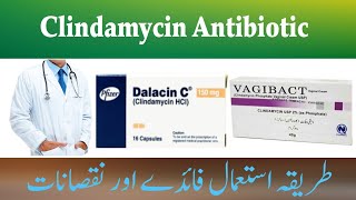 Clindamycin Antibiotic  Clindamycin Capsule and suspension  Vagibact Cream  Dalacin C Capsule [upl. by Collette]