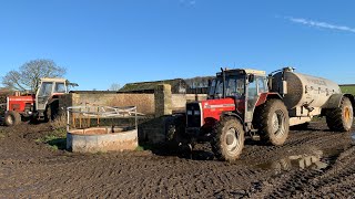 SLURRY SPREADING ON A FROST NOVEMBER DAY AT ORGAN GROUND FARM 2023 [upl. by Temme802]