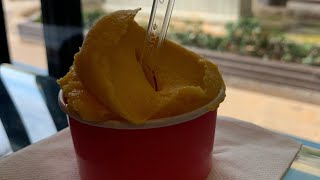 Grand Cayman Marriott Resort  Sea Spray Gelato Review [upl. by Mcfarland965]