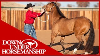 Clinton Anderson Correcting Mouthy Horses  Downunder Horsemanship [upl. by Jethro]