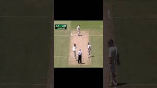 Best of Dale Steyn  Dale Steyn Best Bowling shorts shortsvideo cricket [upl. by Omlesna312]