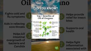 Health Benefits of Oregano Oil [upl. by Rimaj]