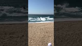 Waiting for the perfect WAVE  jet ski  Porto Portugal [upl. by Walcott]