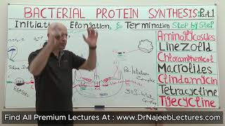 Role of Initiator factors in prokaryotic protein synthesis [upl. by Xad]