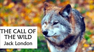 THE CALL OF THE WILD by Jack London  FULL Audiobook Chapter 3 [upl. by Vic]