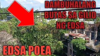 PINAKAMALAKING BUTAS SA GILID NG EDSAPOEAEDSABUTASMETRO MANILAedwinoebiasmandaluyongcity [upl. by Wallas]