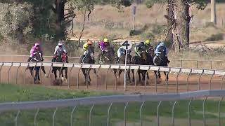 Duck Creek Nyngan 06 07 2024 Race 1 [upl. by Ailemac]