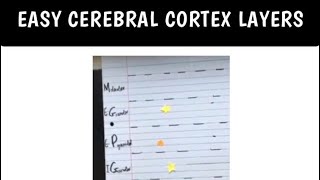 Cerebral Cortex Layers Made Easy [upl. by Inaffyt]