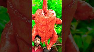 Cripsy Lays Chicken outdoor 🍗food chicken cooking shorts [upl. by Shanta337]