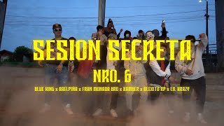 SESION SECRETA NRO 6 x BLUE KING x AAELPIÑA x FRAN MONADA BRO x XAMBER x ALELXITO RP x LIL KRAZY [upl. by Dobb]