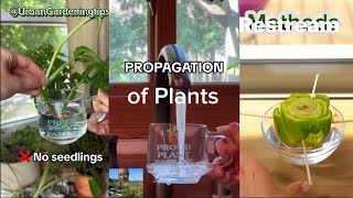 Plants propagation Methods [upl. by Lananna609]