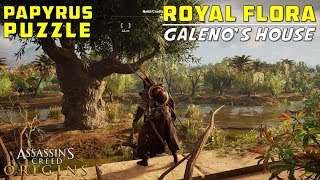 Royal Flora Galenos House Herakleion Nome Papyri Puzzle Treasure Location  AC Origins [upl. by Milore]