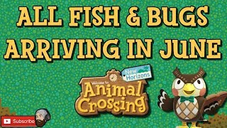 ACNH ALL NEW FISH IN JUNE amp ALL NEW BUGS IN JUNE Animal Crossing New Horizons June Fish amp Bugs [upl. by Hume]