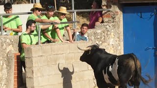 SE DIVIERTEN CON EL TORO DESDE LA BARRERA VILLAREJOPERIESTEBAN CUENCA AGOSTO 2024 [upl. by Eixam]