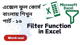 Filter Function in Excel  How to add filter function in Microsoft excel  excel for Fresher [upl. by Gabbie]