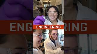 Bioengineering is one of 16 engineering majors at Oregon State University [upl. by Otsuaf]