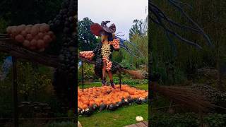 Kürbisausstellung in Ludwigsburg Baden  Württemberg 🎃🎃🎃🇩🇪Pumpkin show [upl. by Mab146]