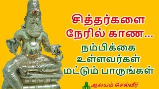 சித்தர்களை காண மந்திரம்  Siddhar Worship  Siddhar Vazhipadu [upl. by Aicnorev912]