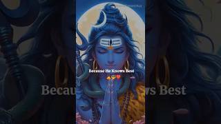 Mahadev status video 💫 bholenath status ☘️ mahakal status mahadevshorts god viralreels ytshorts [upl. by Steel]