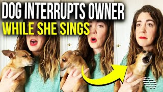 Dog Interrupts Owner While She Sings “Silent Night” and Howls Making Her Laugh [upl. by Cacka]