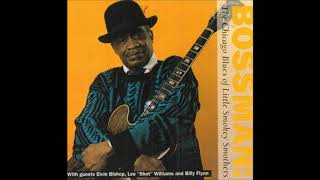 LITTLE SMOKEY SMOTHERS Tchula Mississippi USA  43rd Street Blues [upl. by Sverre]