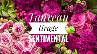 💓 Taureau ♉️ tirage sentimental novembre 2024 💓 [upl. by Lavelle]