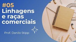 05  Raças e linhagens comerciais [upl. by Pierrette]