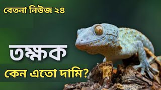 তক্ষক কেন এতো দামি Why is Taksha so expensive betnanews24 [upl. by Dolores]