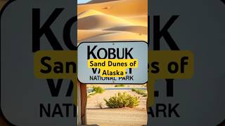 Sand Dunes of Alaska AlaskaDesert KobukValley USNationalParks GeographyFacts shorts [upl. by Deth]