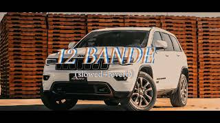 12 BANDE SLOWEDREVERB SONG  EDIT BY Devrajmusicbhilwara  FOLLOW FOR MORE SONGS ❤️🖇️ [upl. by Rakel]