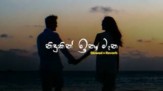 Nidukin Inu Mana  නිදුකින් ඉනු මැන  Slowed  Reverb  PASIYA vibes [upl. by Niles]