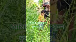 বিদেশি ঘাসের চাষ করুন reels gardening shortvideo garden village agro funny farming [upl. by Mcculloch]