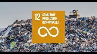 Obiettivo 12 Consumo e produzione responsabili [upl. by Anyl]