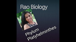 PHYLUM  PLATYHELMINTHES [upl. by Nagah]