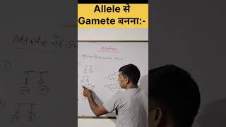 Allele से Gamete बनना varl sorts NCERT physics Our study room Udayrajsir17 [upl. by Keifer358]