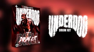 50 quotUNDERDOGquot  NY DRILL DRUM KIT 2024 DTHANG KAY FLOCK NAS EBK DOUGIE B CHII WVTTZ [upl. by Hedve]