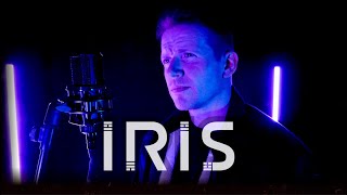 Iris  Goo Goo Dolls Cover by Colm R McGuinness [upl. by Carlisle]