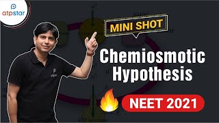 NEET 2021  Chemiosmotic Hypothesis  ATP synthesis  Light reaction  Class 11  Botany  Mini Shot [upl. by Malan284]