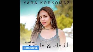 Yara Korkomaz  اشمك و ما بتهون Exclusive Audio [upl. by Eitsyrc358]