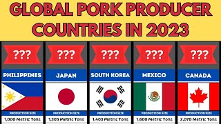 Pork Production Global Pork Producer Countries 2023 Pork Producer Countries [upl. by Bergmans601]