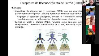 Clase Inmunidad innata 9 de septiembre 2021 [upl. by Dulcia]