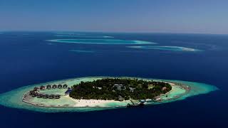 4K Ellaidhoo Maldives by Cinnamon Drone tour in Maldives Maldives travel vacation drone 4K [upl. by Wohlert682]