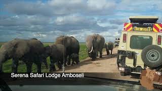 Serena Safari Lodge Amboseli [upl. by Vincents]