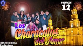 ☆Characatos del amor ✔ MIX RAULITO SALAZAR 2016 oficial☆ [upl. by Ikim]