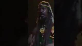 Bunny Wailer  Cool Runnings 1986 Live 🇯🇲🌴🇯🇲 shorts reggae rasta [upl. by Retsub201]