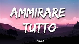 Alex  Ammirare tutto Testo e Audio [upl. by Ylrahc]